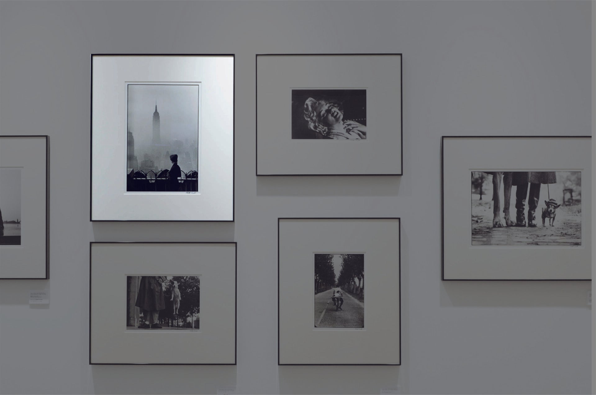 ‘‘New York, USA. 1955’’by Elliot Erwitt