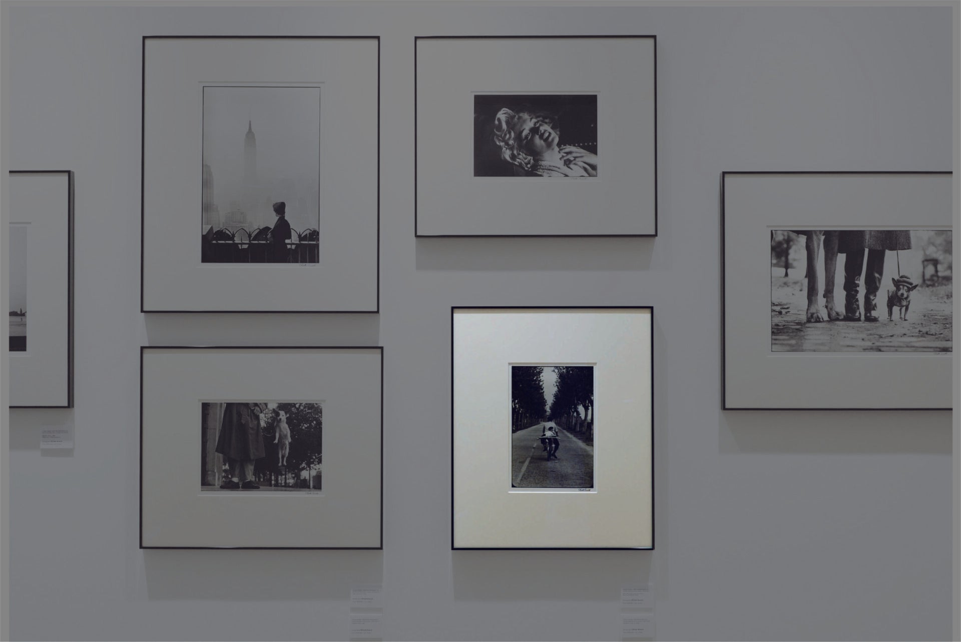 ‘‘Provence, France. 1955.’’by Elliot Erwitt