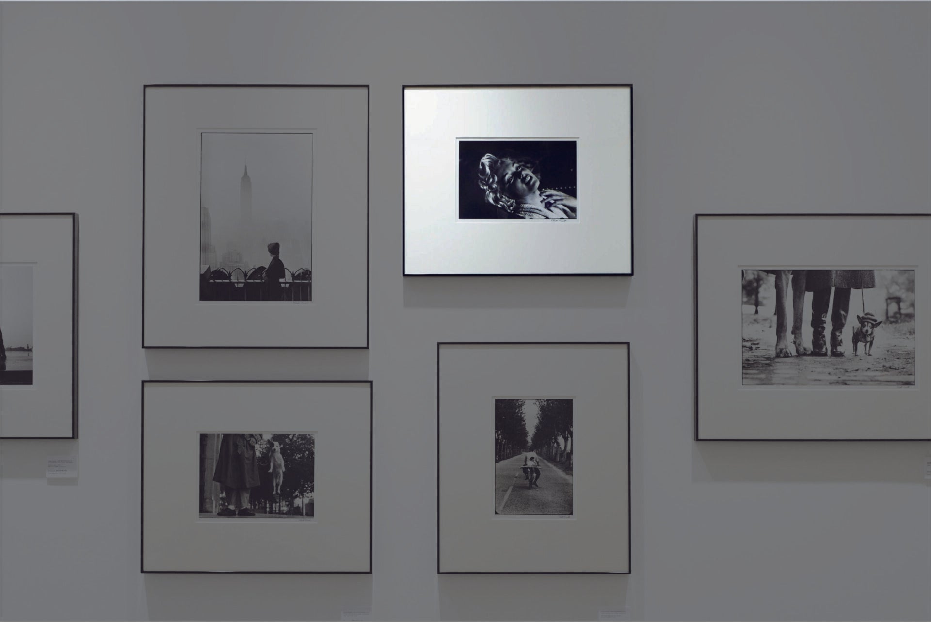 ‘‘American actress Marilyn Monroe. New York, USA. 1956.’’by Elliot Erwitt