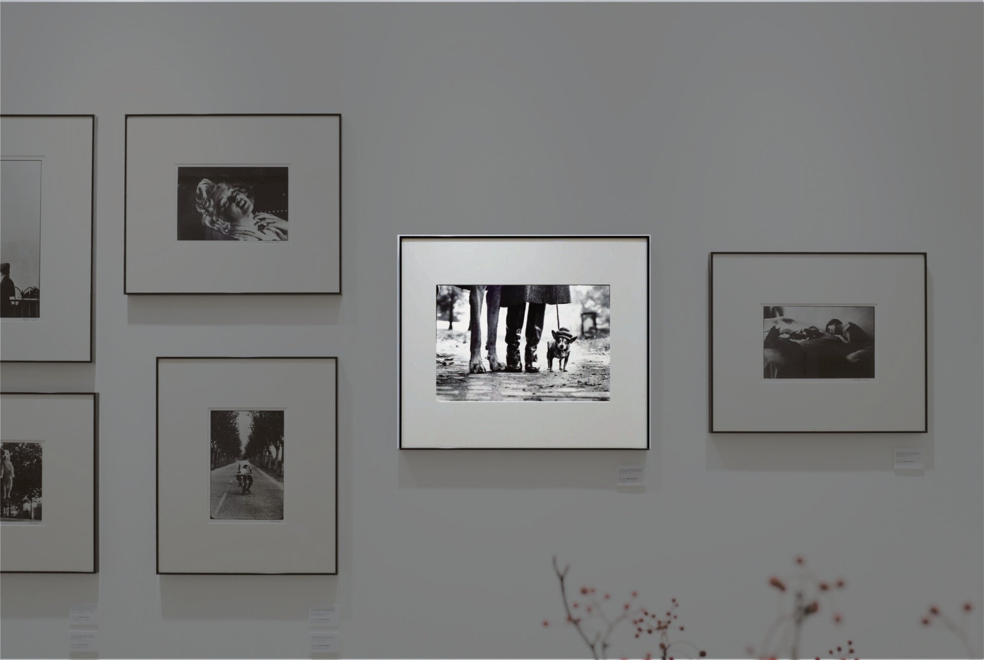 Personal Exposures. – ENZOSHOP/エンツォショップ